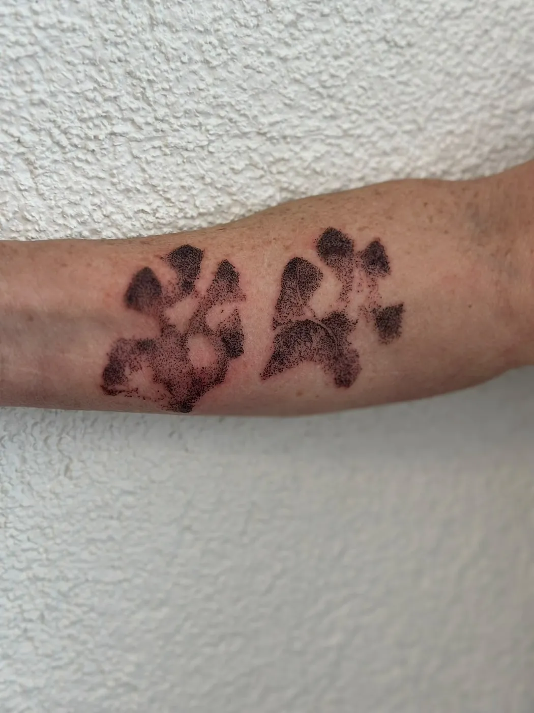 Zwei Hundepfoten-Abdrücke in Dotwork am Unterarm — Tschenky, Alpenstich